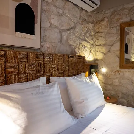 بيت ضيافة Plasis Country 2 4*